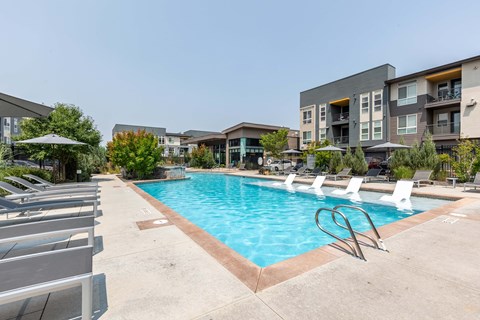 our apartments have a large swimming pool with lounge chairs