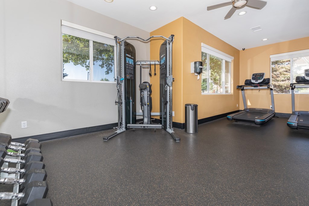 Gym with free weights and cables