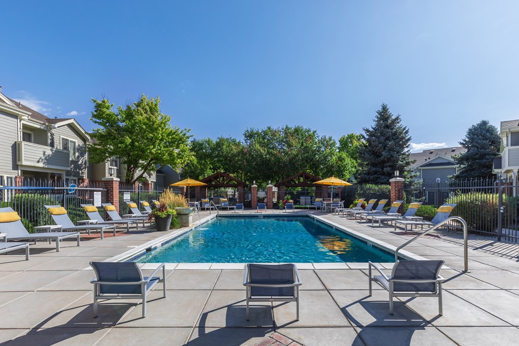 A pool surrounded by chairs and umbrellas with buildings in the background.