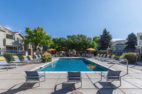 A pool surrounded by chairs and umbrellas with buildings in the background.