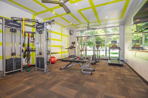 A gym with a variety of equipment including a treadmill, weights and a bench press.