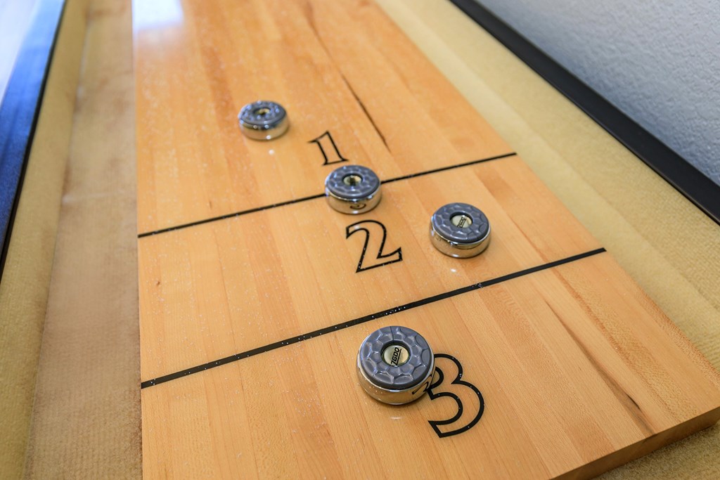 Shuffleboard