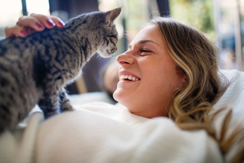 A woman is lying down with a cat on her shoulder.