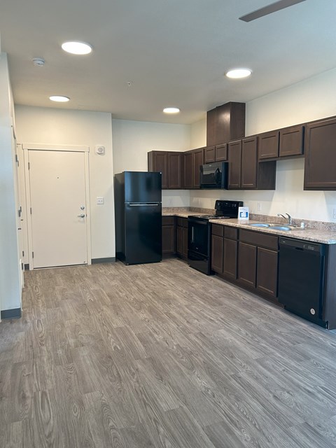 A kitchen with a black refrigerator, microwave, and dishwasher.