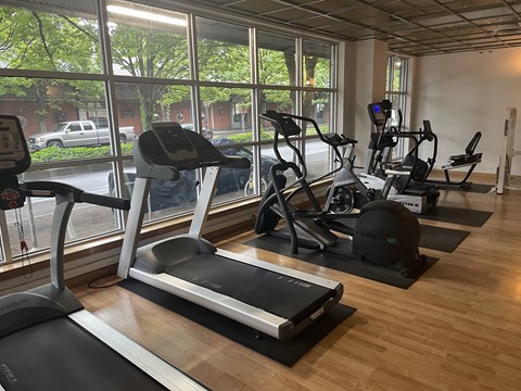 A gym with treadmills, elliptical machines, and a stationary bike.