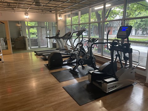 A gym with treadmills and elliptical machines.