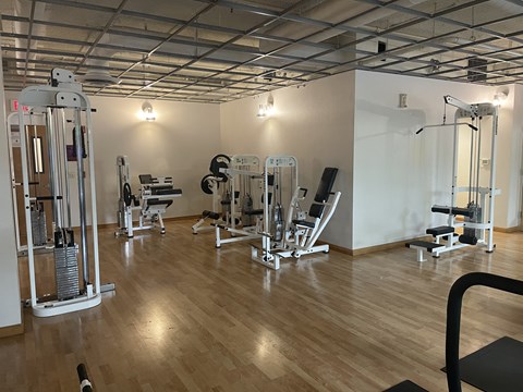 A gym with a variety of equipment including a leg press machine.