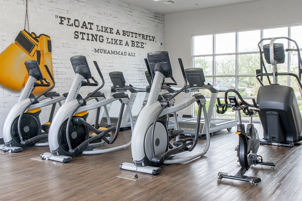 a row of exercise bikes in a gym