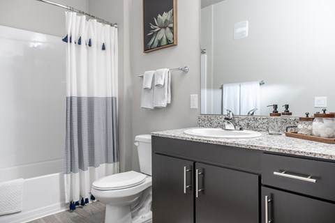 a bathroom with a toilet sink and shower and a mirror