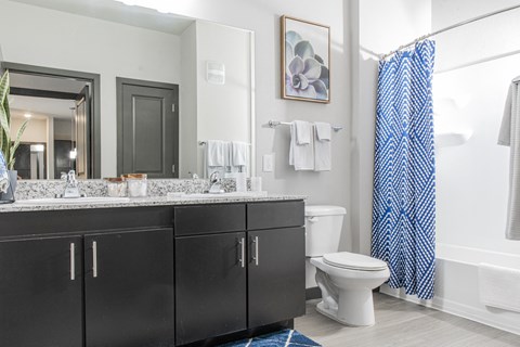 a bathroom with a toilet and a sink and a mirror
