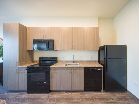 A kitchen with black appliances and wooden cabinets.