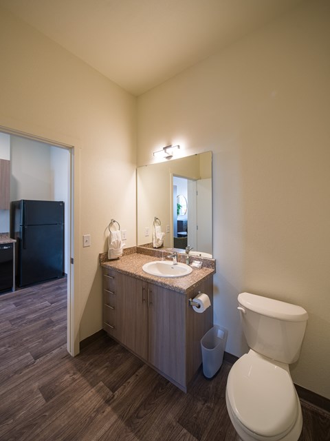 A bathroom with a toilet, sink, and mirror.