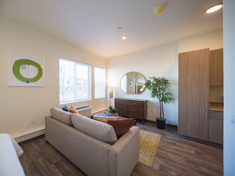 A living room with a couch, a mirror, and a potted plant.