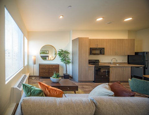 A living room with a couch, a plant, and a mirror on the wall.