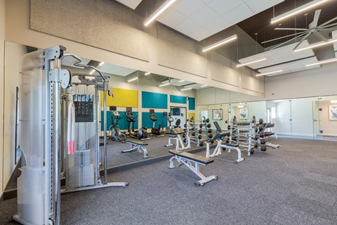 a gym with cardio equipment and weights on the floor