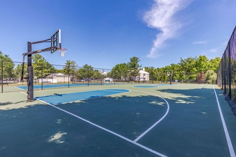 Sports Courts