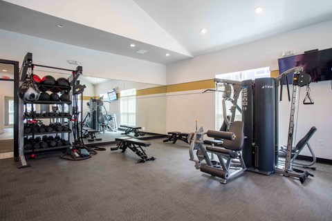 the gym is stocked with weights and cardio equipment