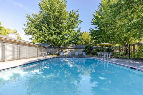A large outdoor swimming pool surrounded by trees and a fence.