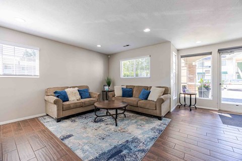 A living room with a couch, a coffee table, and a rug.