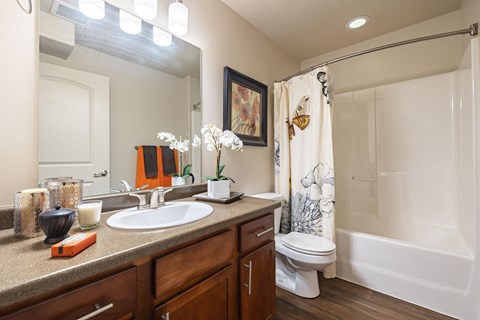 a bathroom with a sink and a toilet and a shower