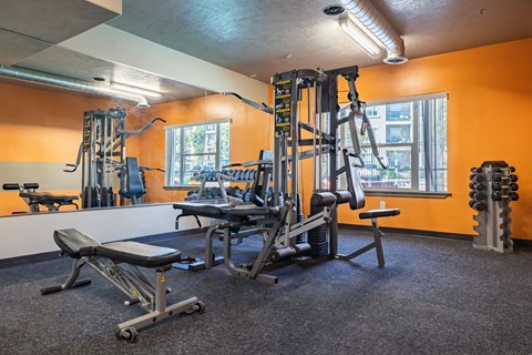 the gym at the flats at big tex apartments