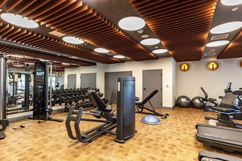 A gym with a variety of equipment including treadmills, weights, and exercise balls.