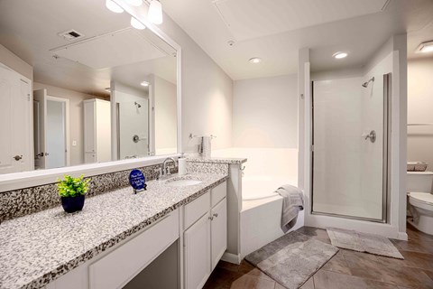 680 East Basse Rd. 3 Beds Apartment for Rent