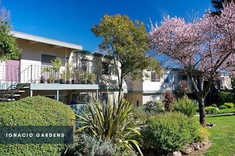 Mission Rock At North Bay