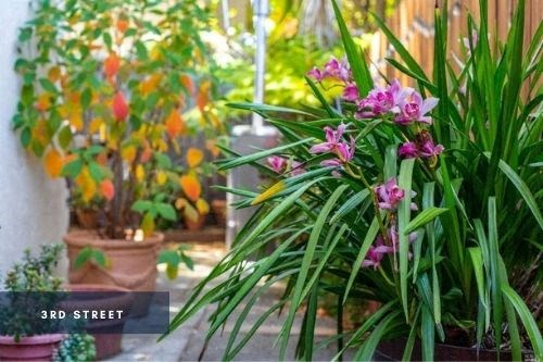 Exterior at 3rd Street