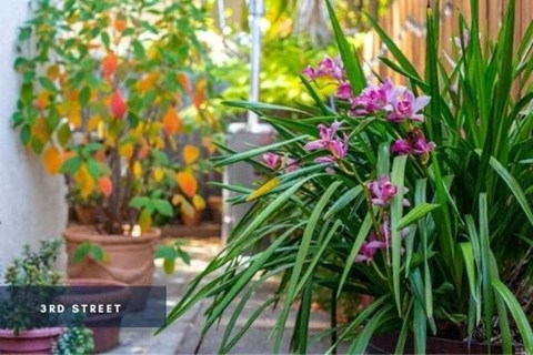 Mission Rock At North Bay