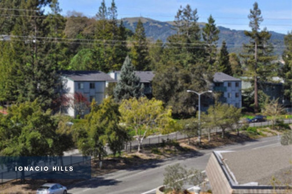 Neighborhood at Ignacio Hills