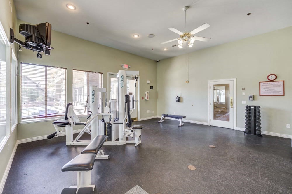 the gym in the owners home