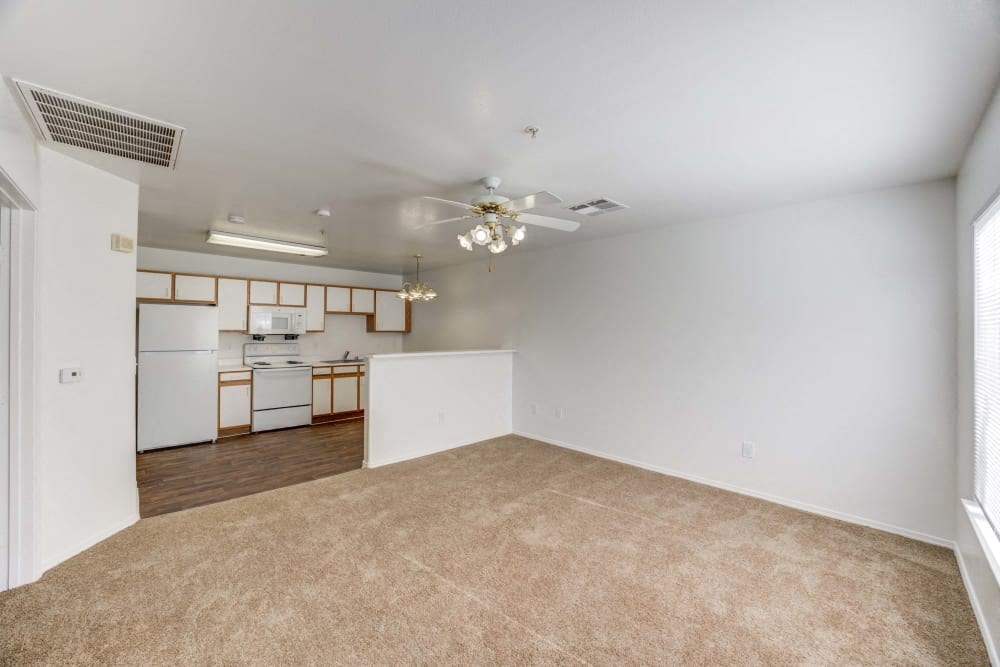 Living room and kitchen