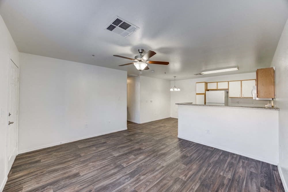 Living room and kitchen with wood-style floors