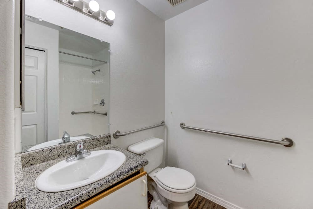 a bathroom with a sink, toilet, and a mirror