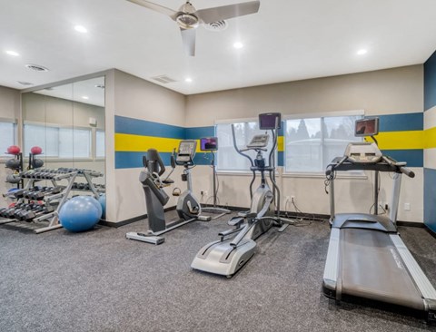 our gym is equipped with state of the art equipment including cardio machines and weights