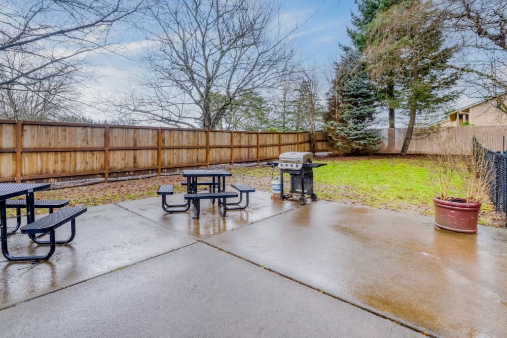 BBQ Grills and picnic tables