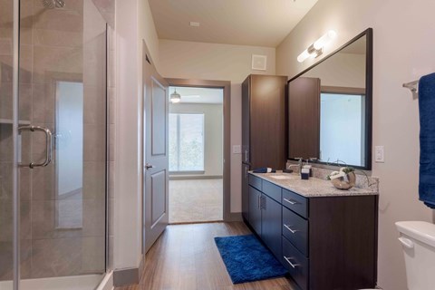 A bathroom with a walk-in shower, a sink, and a mirror.