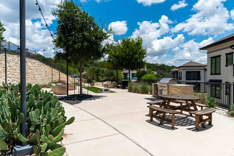A sunny day at a picnic area with a cactus plant in the foreground.