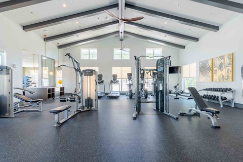 A spacious gym with a variety of equipment.