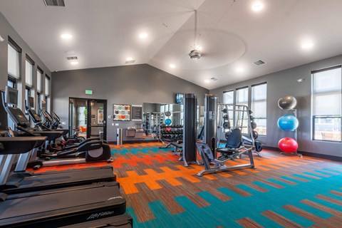 A gym with treadmills, weights, and exercise balls.
