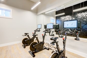 Spin Studio - Photo Gallery 5