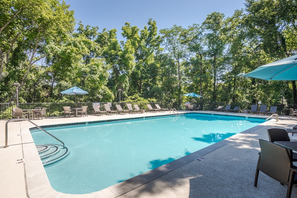 a swimming pool with chairs and umbrellas and trees