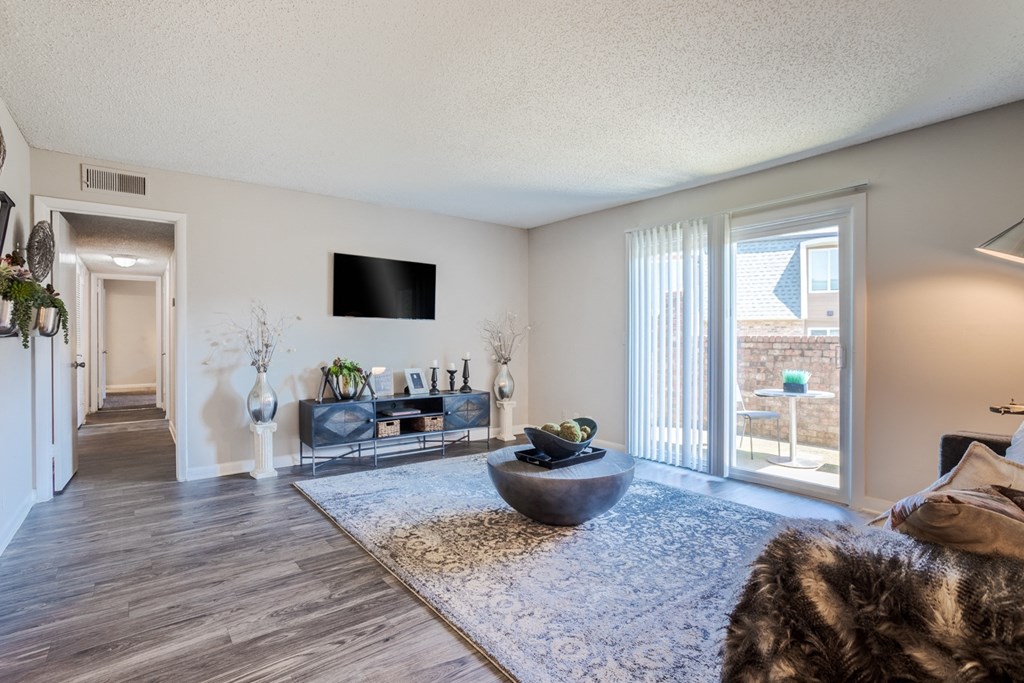 a living room with a couch and a rug and a television