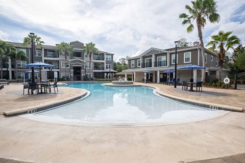A large swimming pool in front of a building with a palm tree.