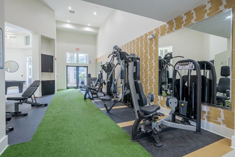 A gym with a row of exercise machines and a green carpet.