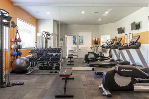 a gym filled with cardio equipment and weights