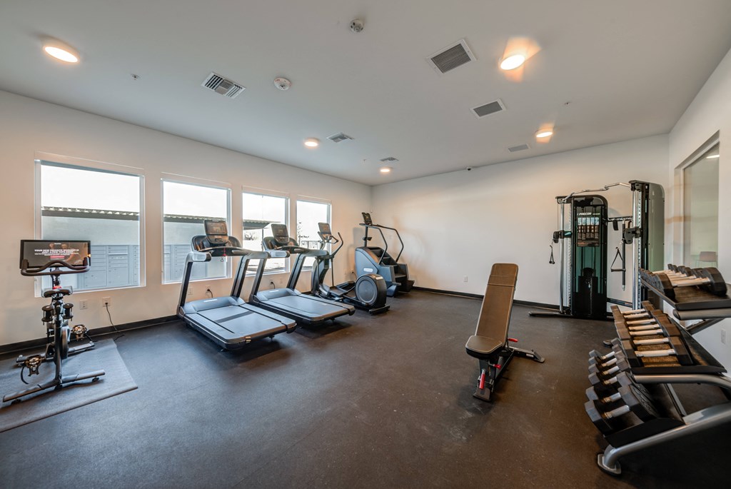 cardio equipment in the gym