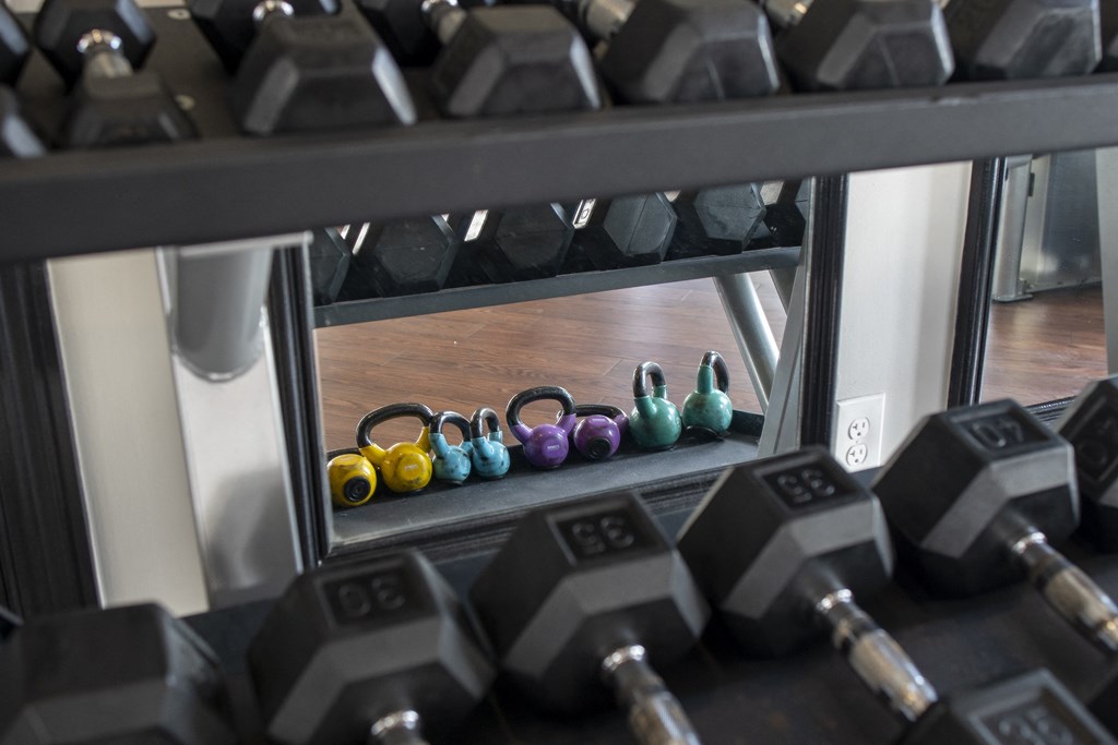 a row of weights in a gym window