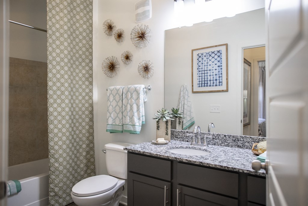 a bathroom with a sink and a toilet and a mirror